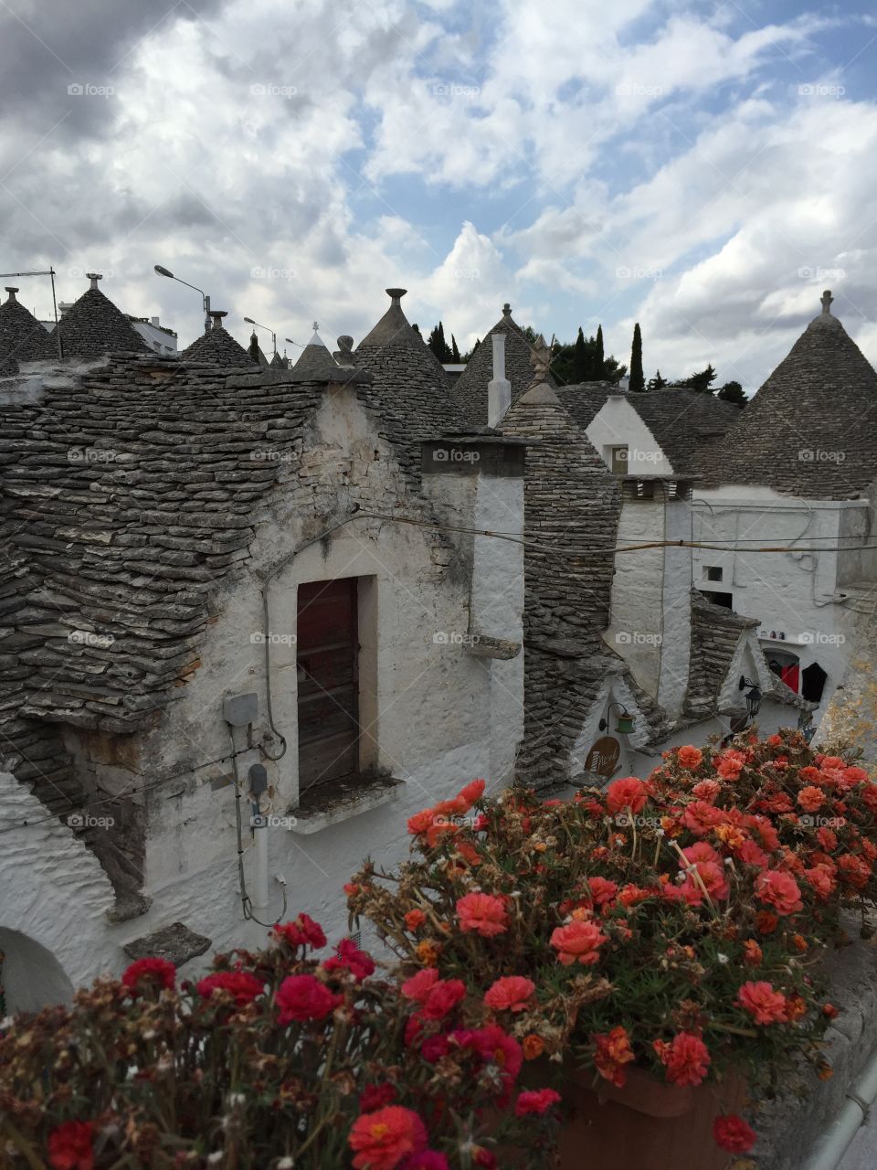 High angle view of houses in italy