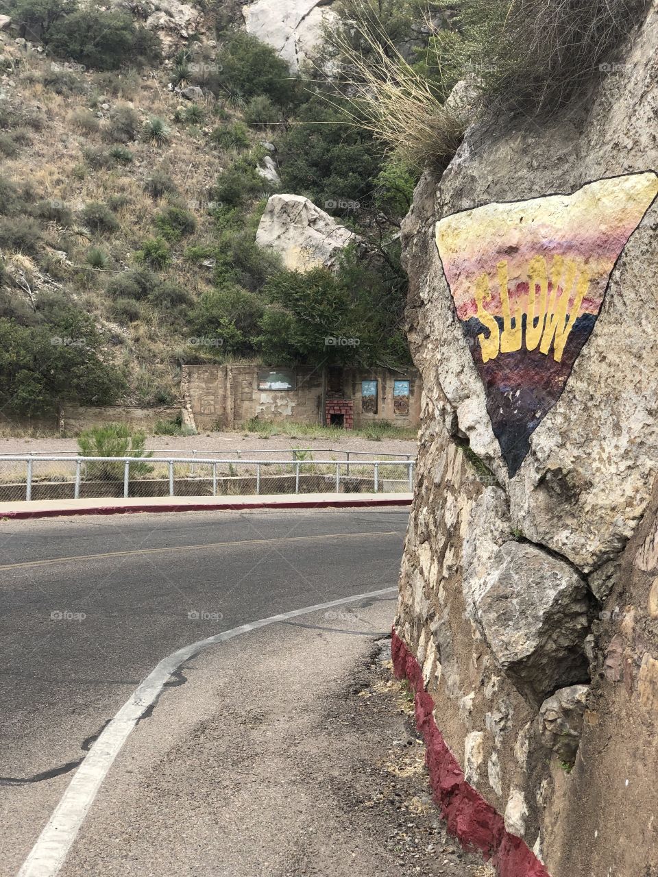 Bisbee Curve
