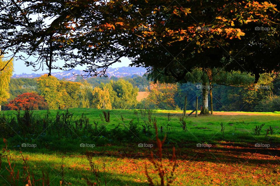 nature during autumn time. multucolored  autumn landscape & the city in the background