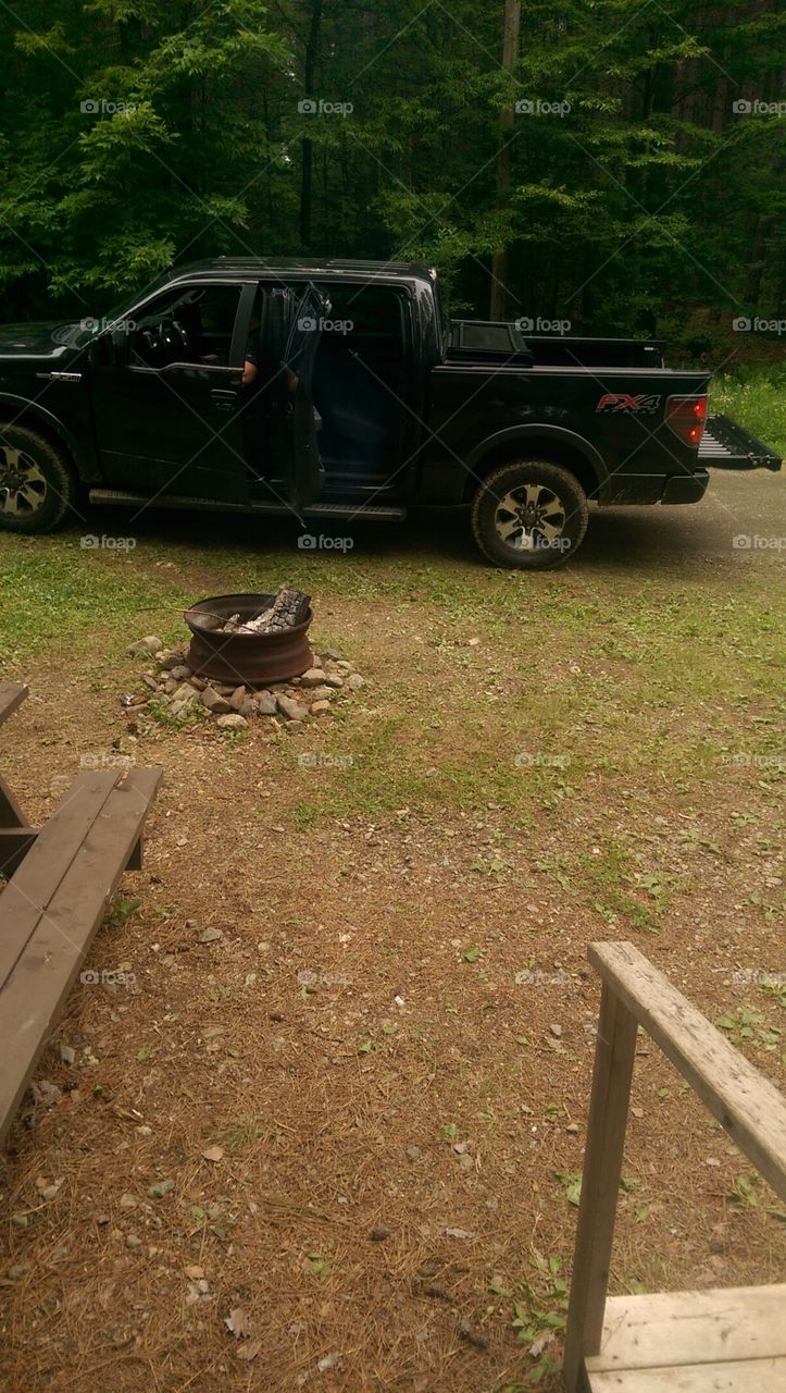 No Person, Vehicle, Road, Wood, Landscape