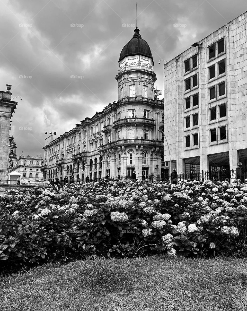 The old a classic construction in the downtown of the city and some flowers