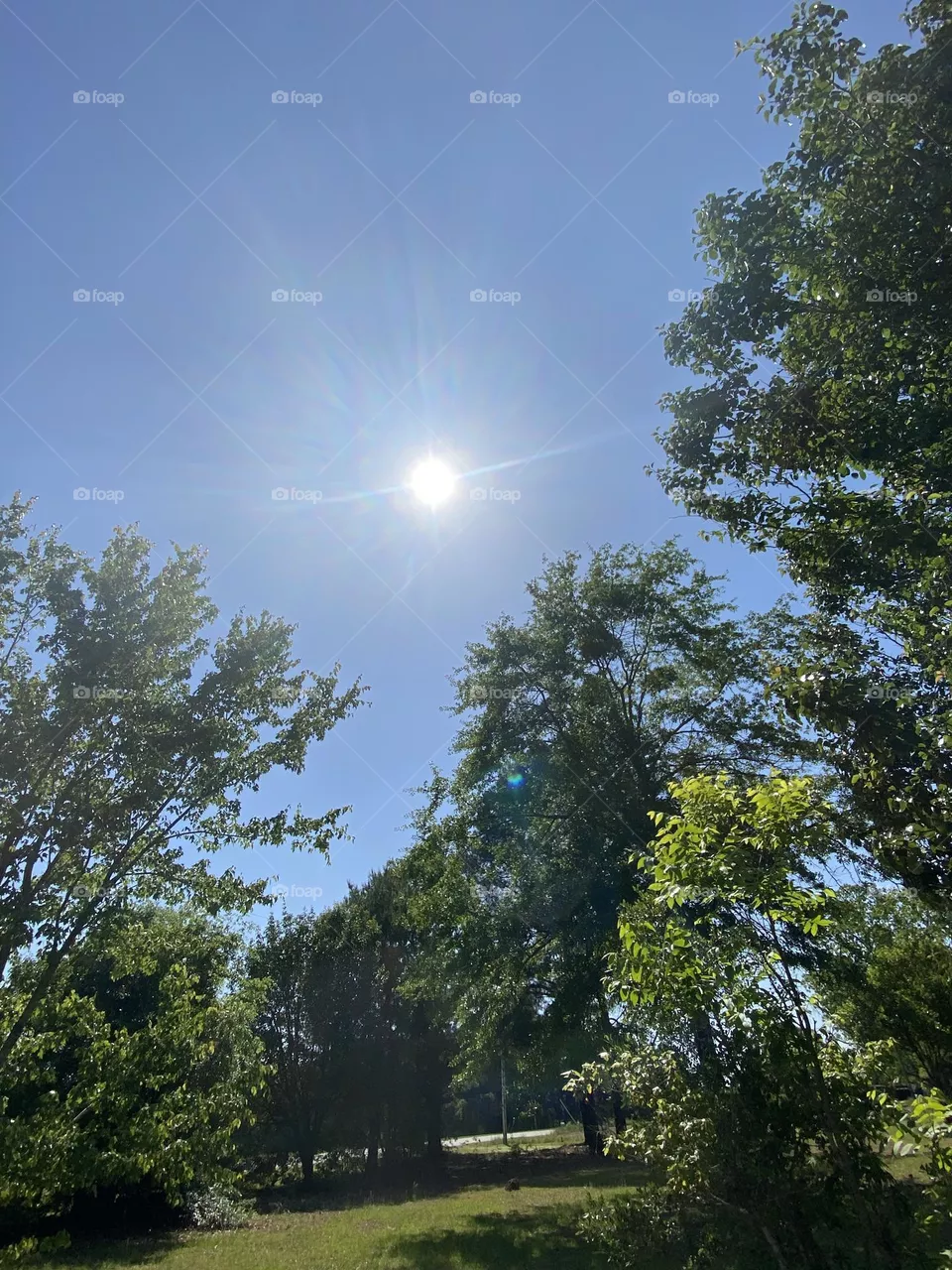 Sunshine 