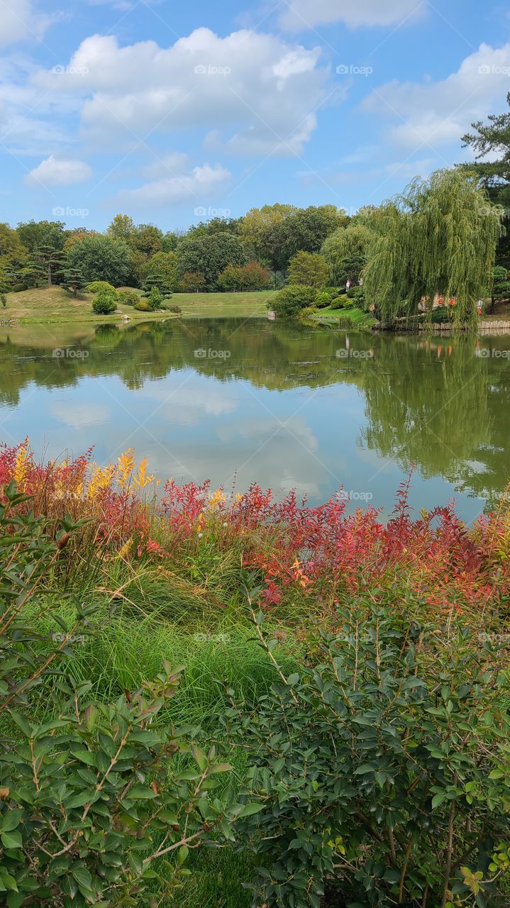 A glimpse of the lake