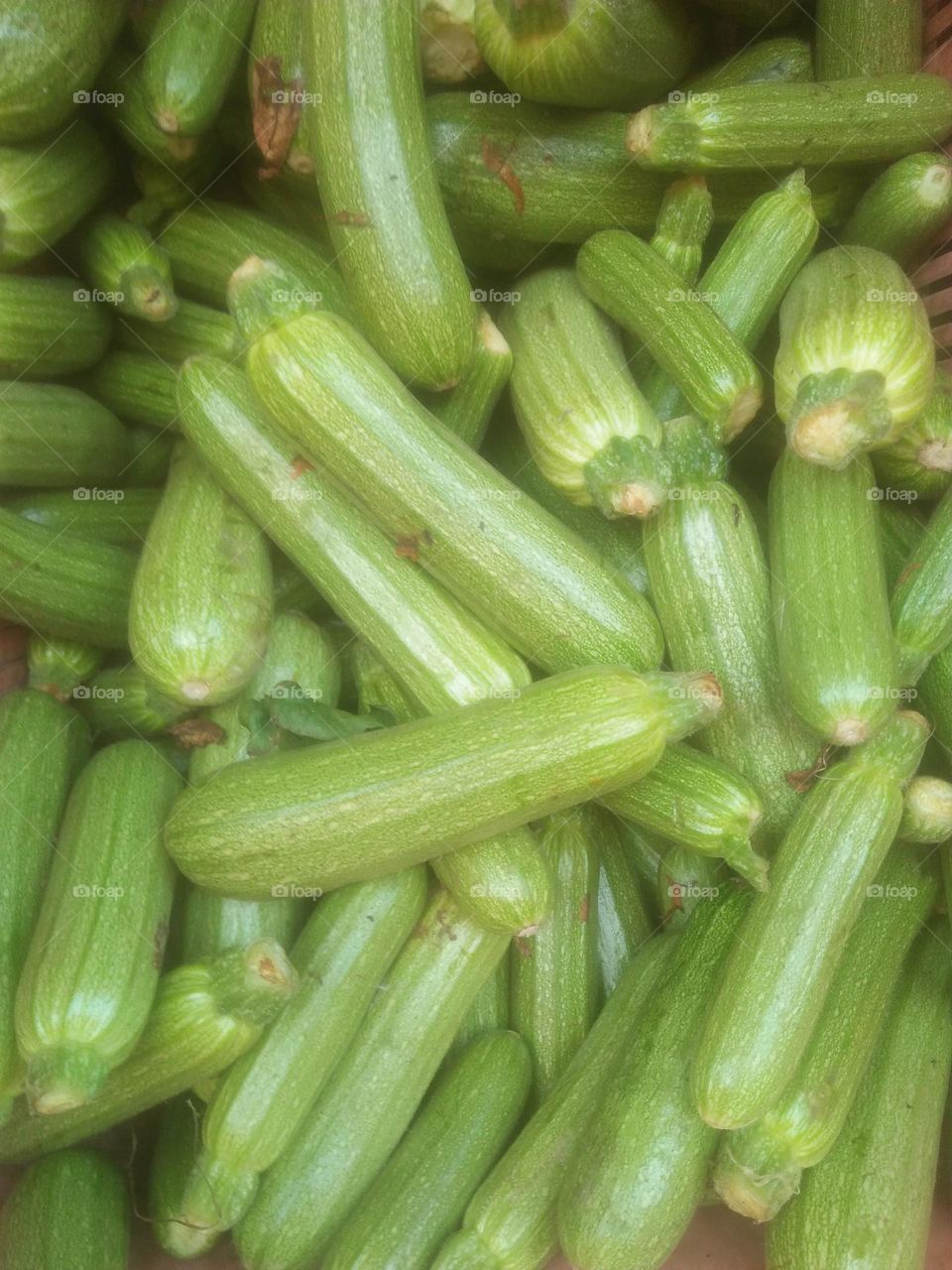 green courgettes.