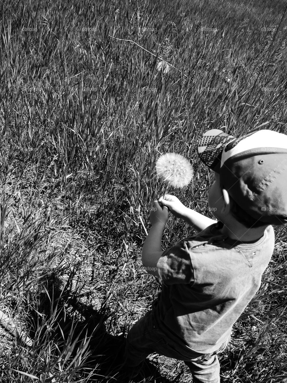 Careful it doesn’t blow away 