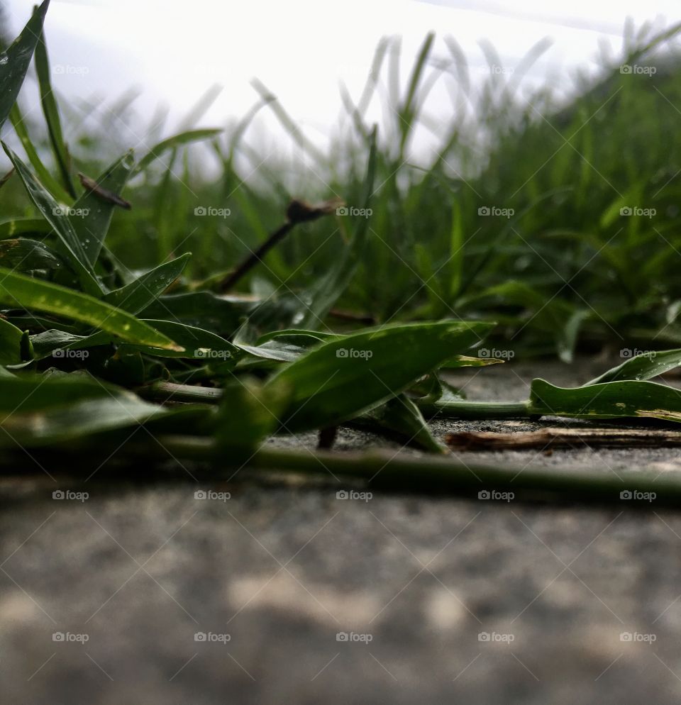 Closeup of ground 