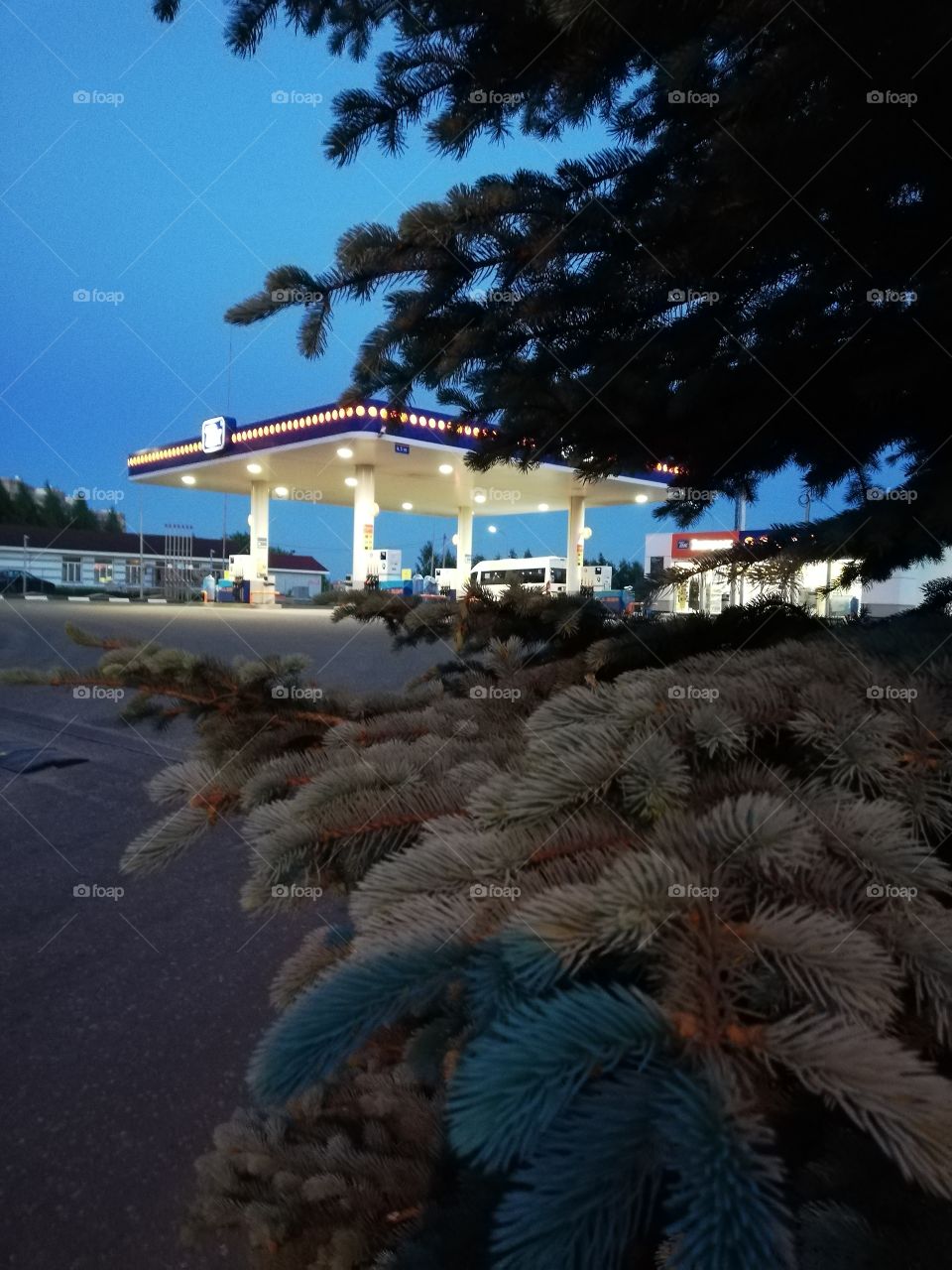 Кострома, Россия