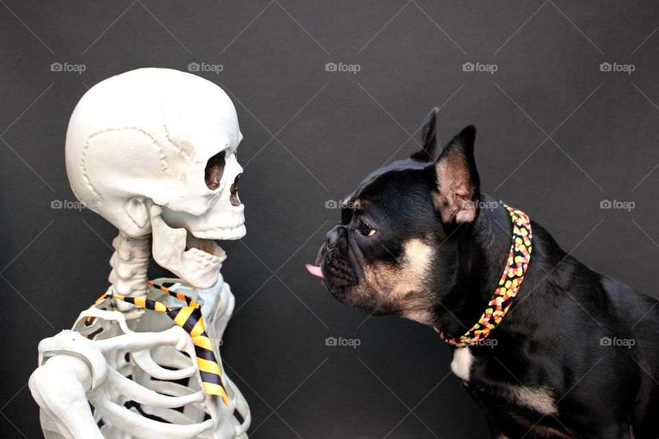 Conversations with a stranger 