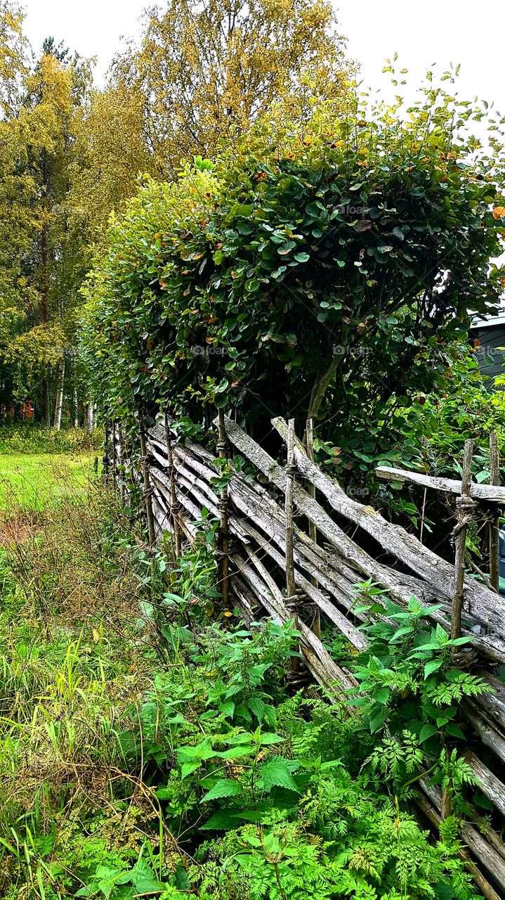 old fence