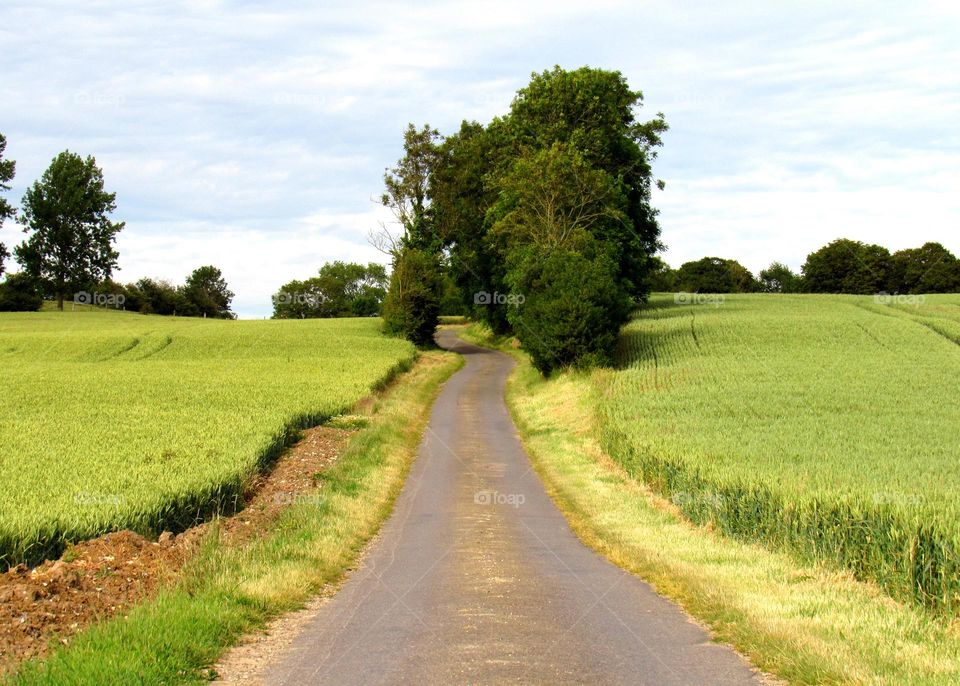 rural landscape