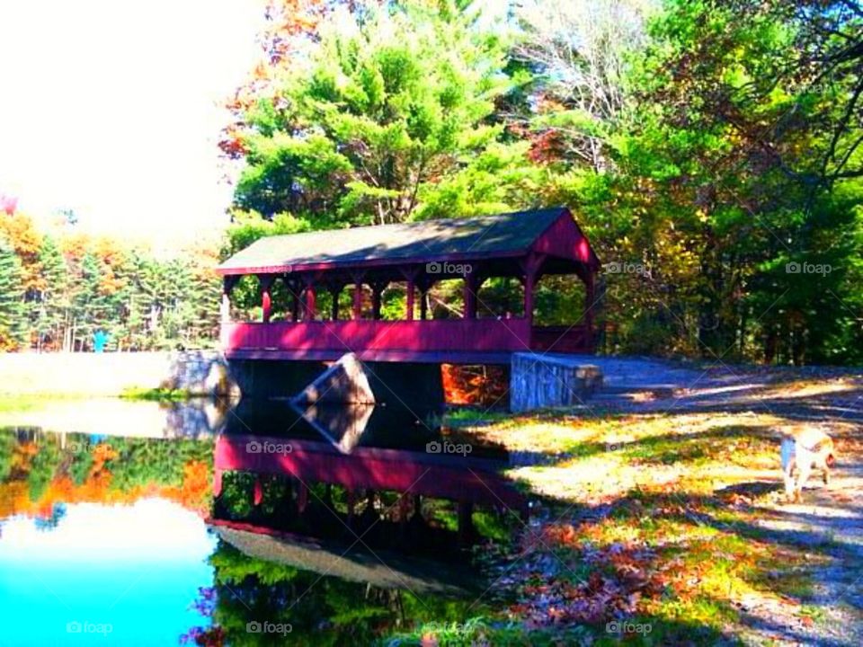 Covered Bridge