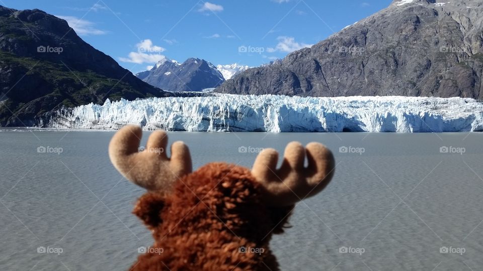 Stuffed teddy moose looking out to glacier and mountains view while traveling on cruise ship in Alaska stopping at Glacier Bay