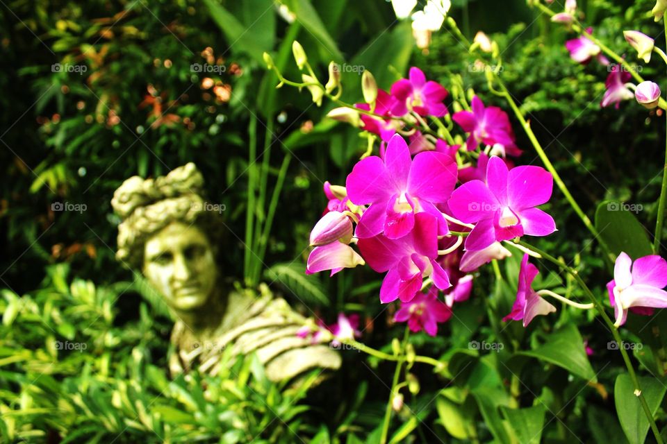 sculpture and orchids