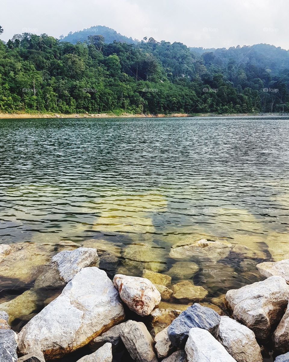 Scenic view of swamp against mountain