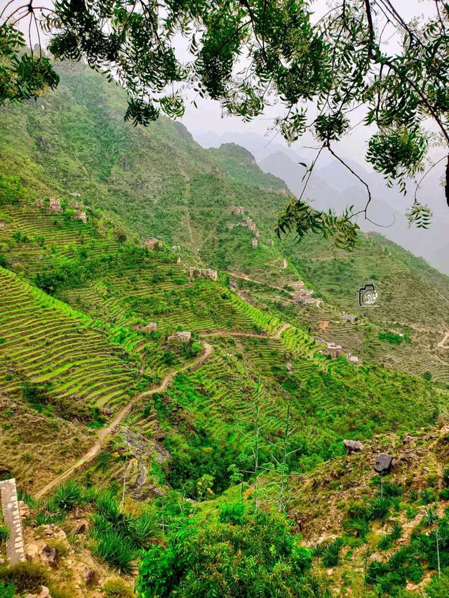 Glory be to God and the natural landscapes, and there is no place more wonderful than them. It is Happy Yemen, Raymah Governorate, gentlemen