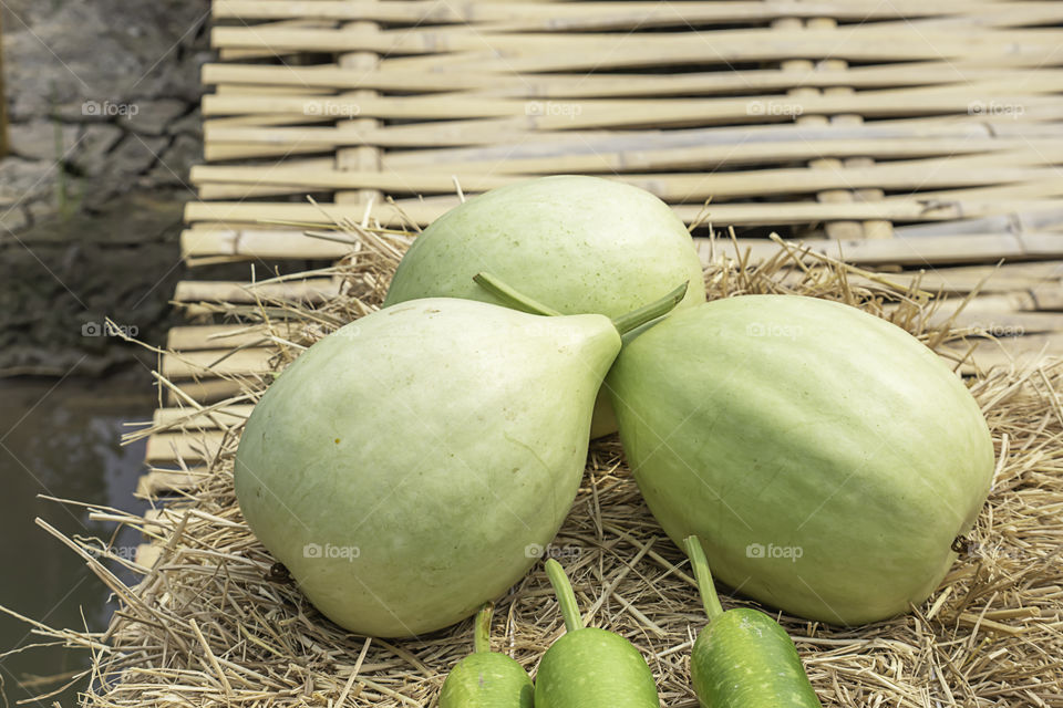 Winter melon is cut into pieces on the straw.