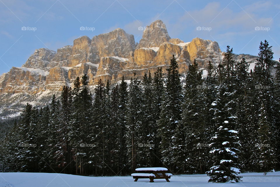 A picnic table waiting for warmer weather so we can enjoy a picnic in the great outdoors under Castle Mountain.