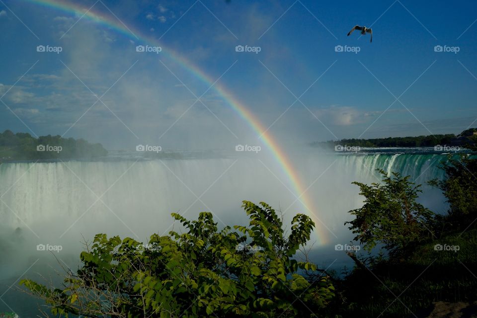 Rainbow on Niagara Falls (Ontario, Canada)