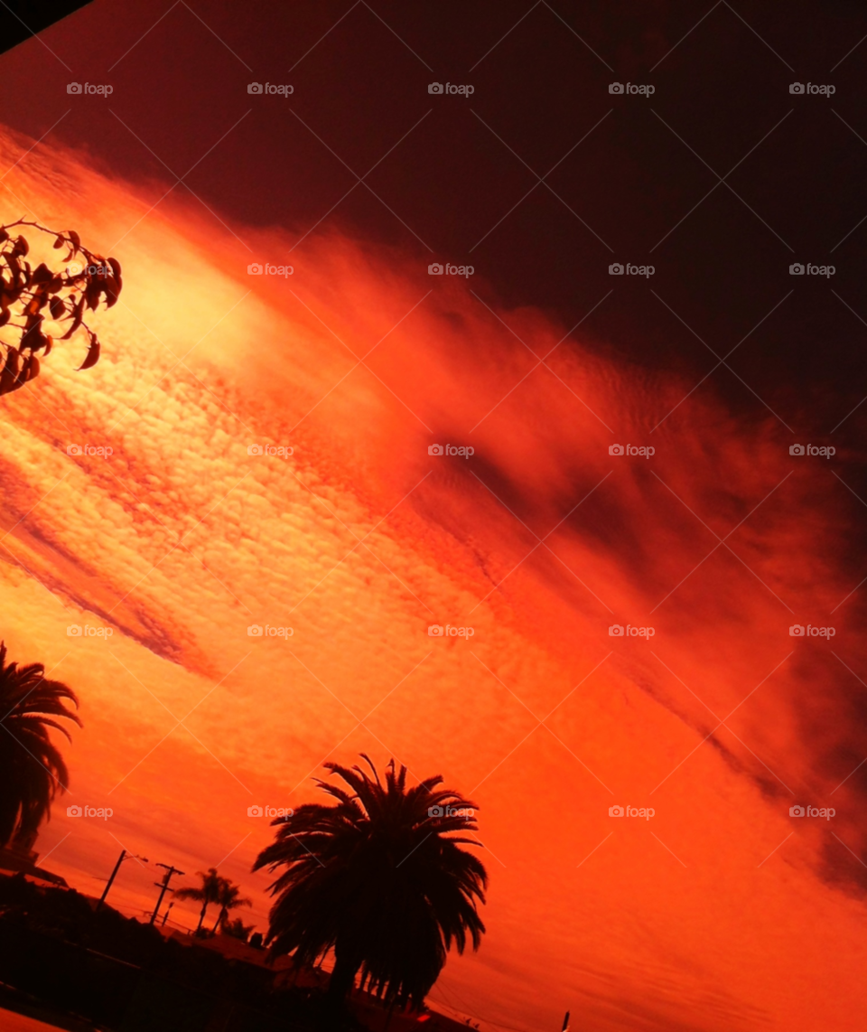 angle sky red tree by emmanuelgr