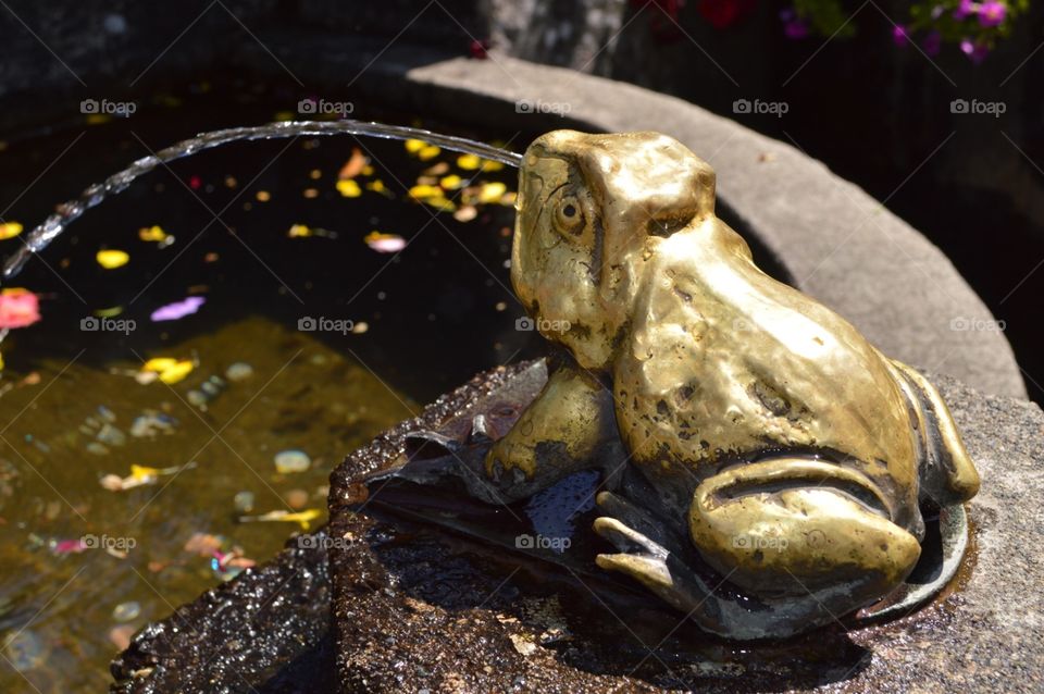 A gold frog fountain at Butchart Gardens