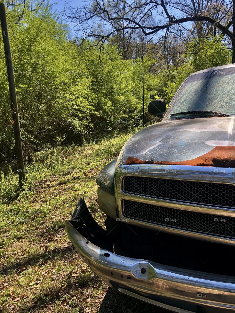 Old abandoned pickup truck in the woods