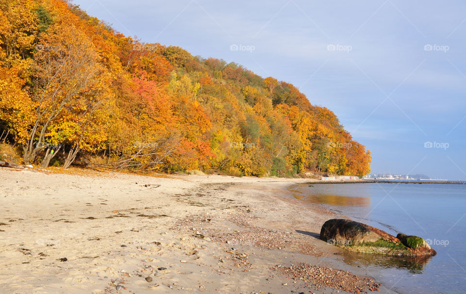 Autumn beach 