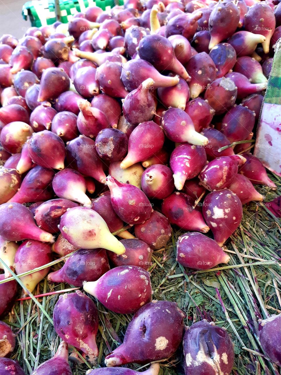 On January 1, 2025, in Morocco, the red kermous (pomegranate) stands out with its vibrant ruby seeds and thick reddish-brown skin. Known for its sweet-tart flavor and health benefits, it is a beloved fruit harvested in late fall.