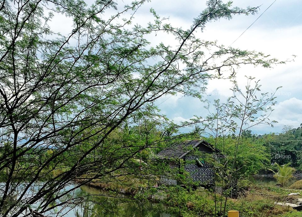 A little house in the woods