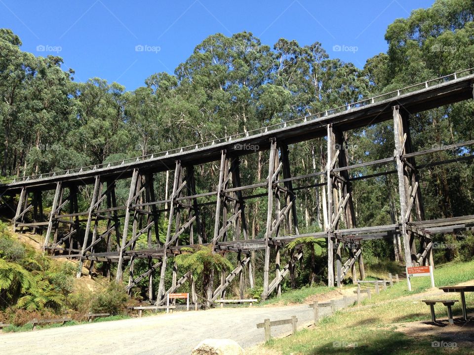 Old rail trestle bridge in country Victoria 