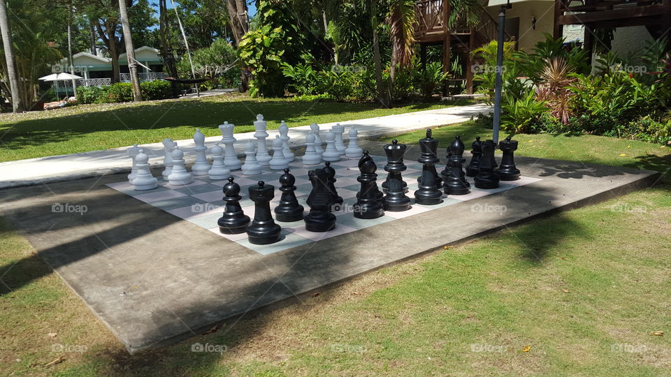 Chess Anyone?