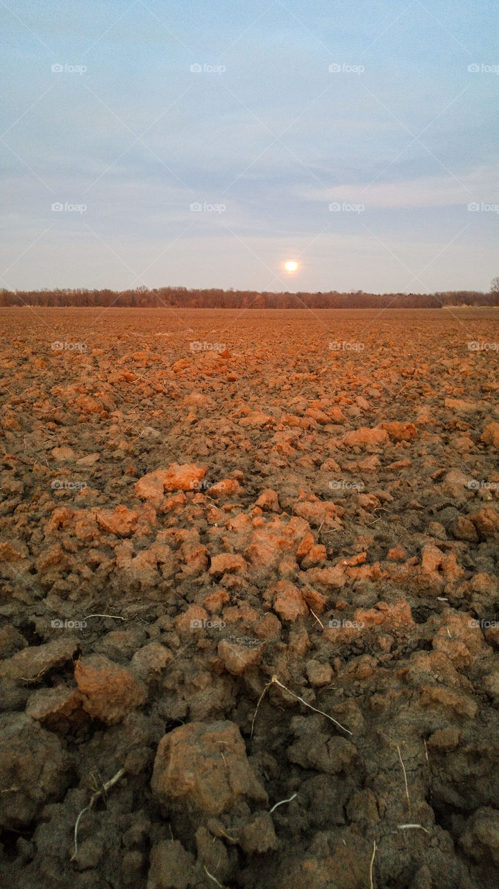 "Snow" Full Moon Eclipse
