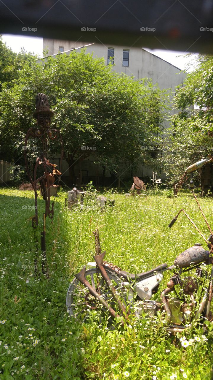 Abandoned garden