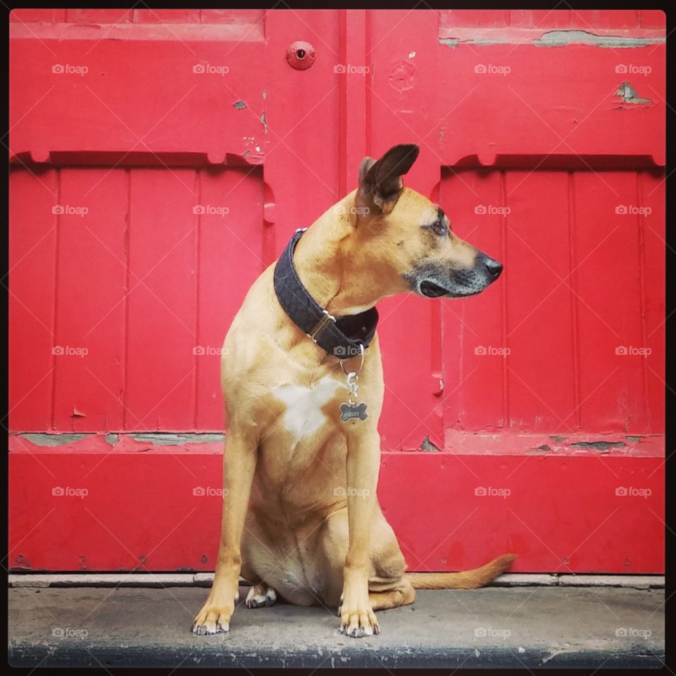 Red Church Door . Philadelphia church door