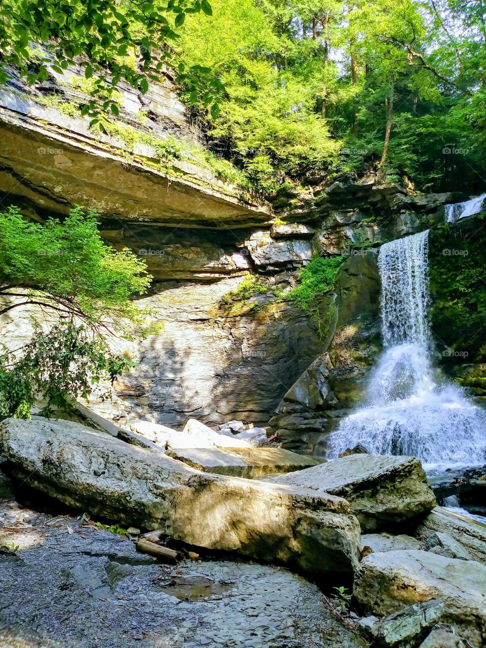 Waterfall at Filmore Glen