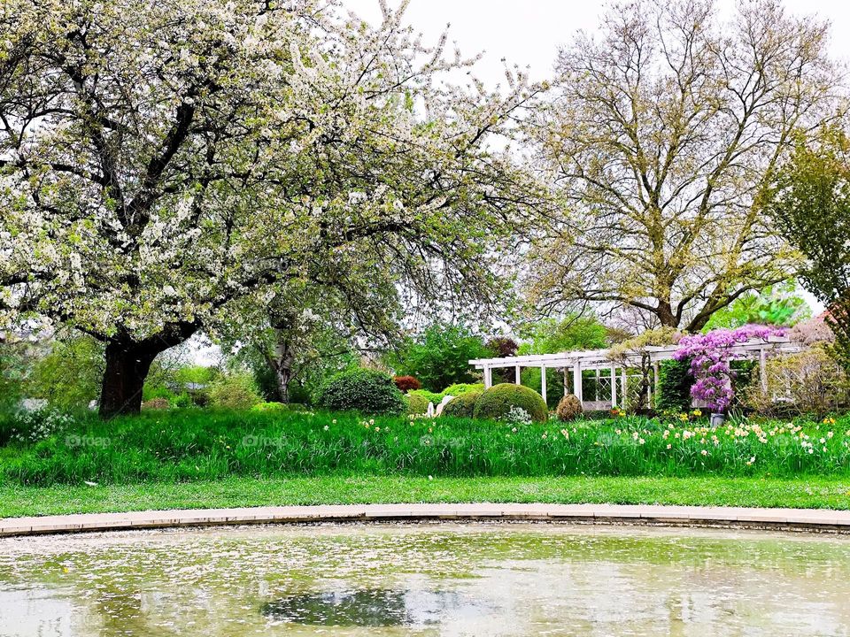 Frühling in Deutschland