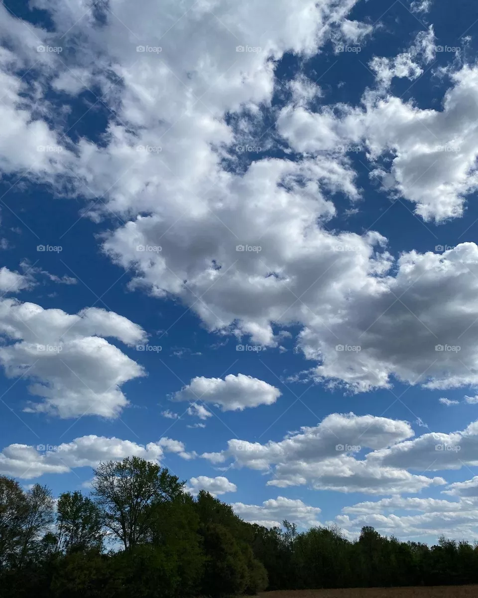 The sky 