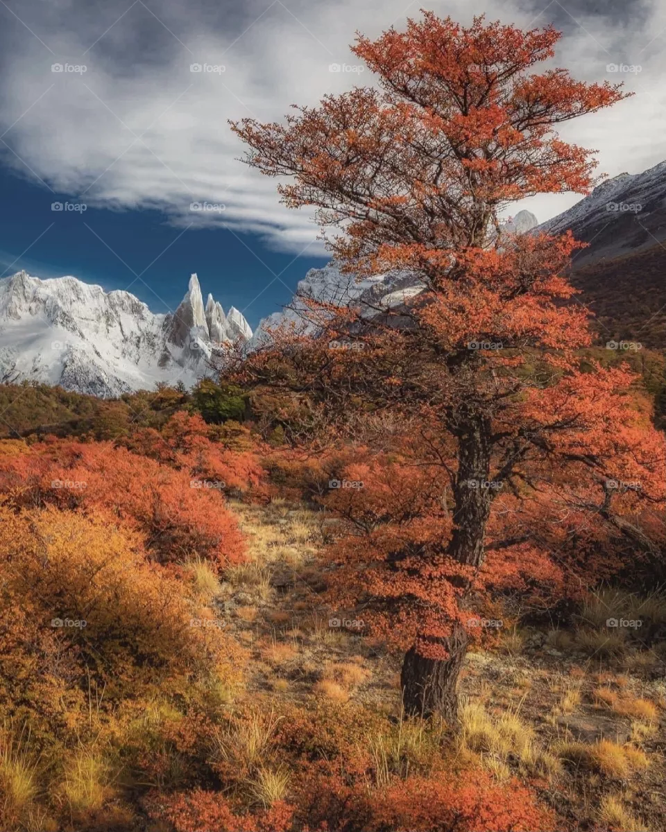 Amazing nature 