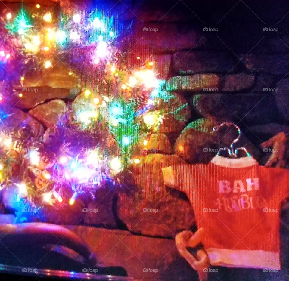 Christmas wreath lit hanging on mantle near joke doggie tee shirt says Bah Humbug😁Funny Sayings