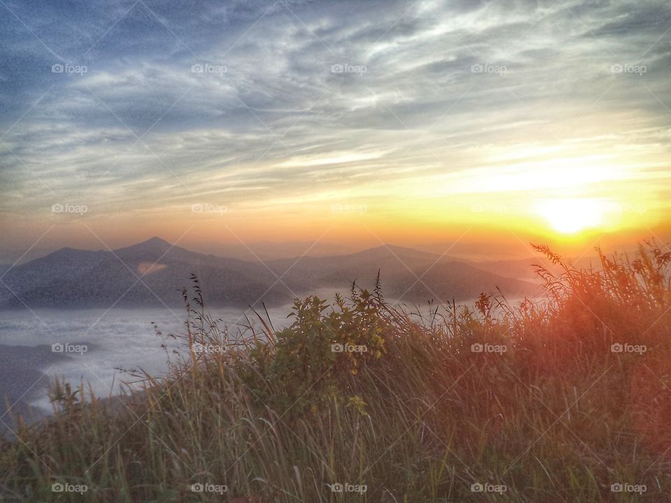 morning mist on Mountain