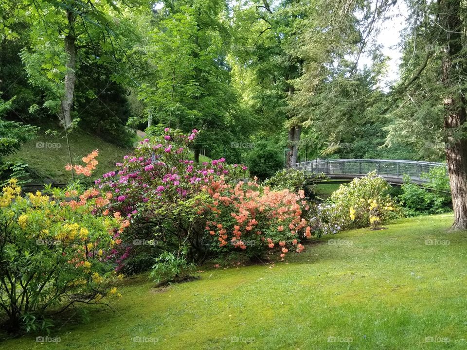 Kurpark in Bad Wildbad