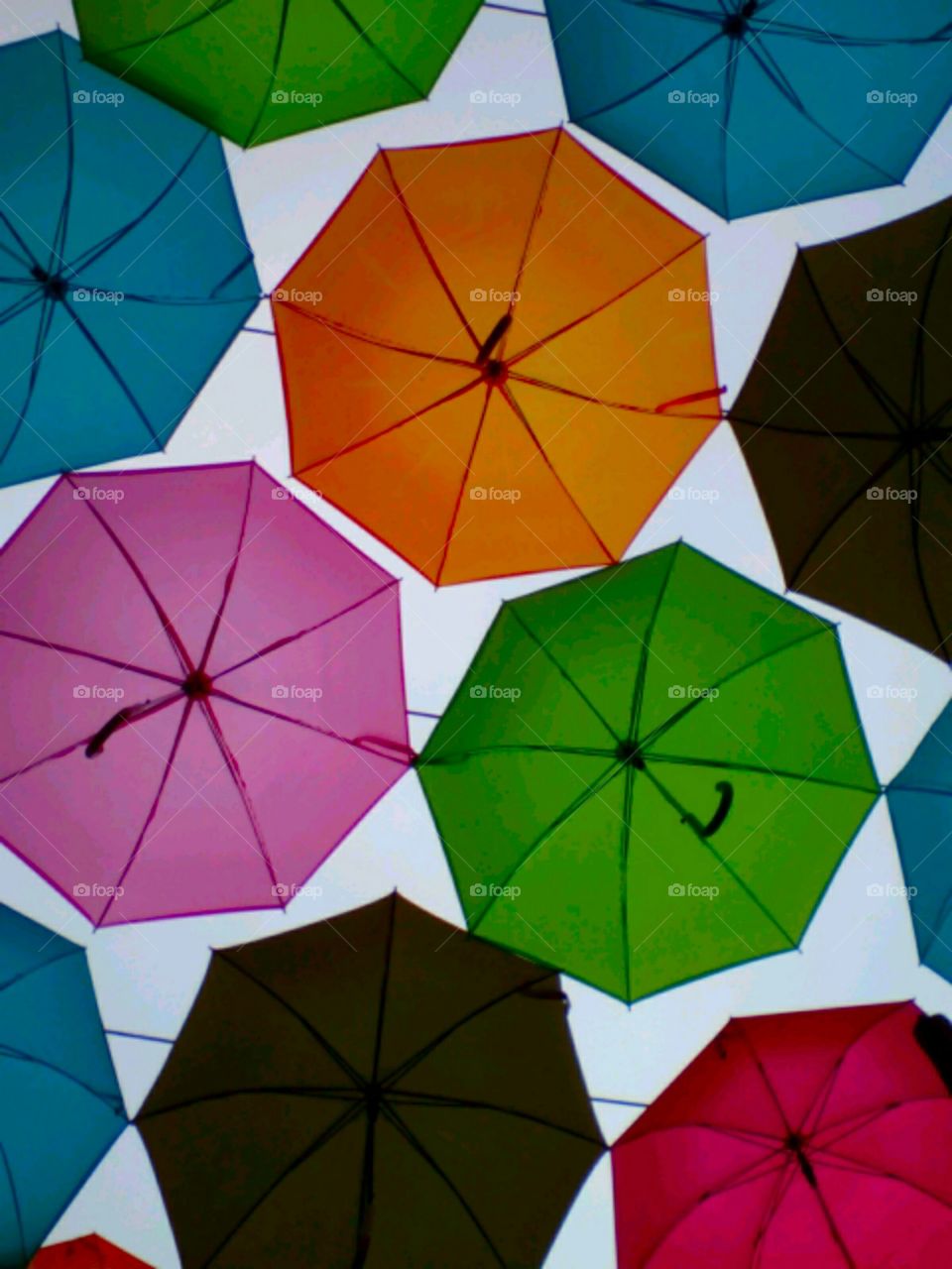 Colorful Umbrellas