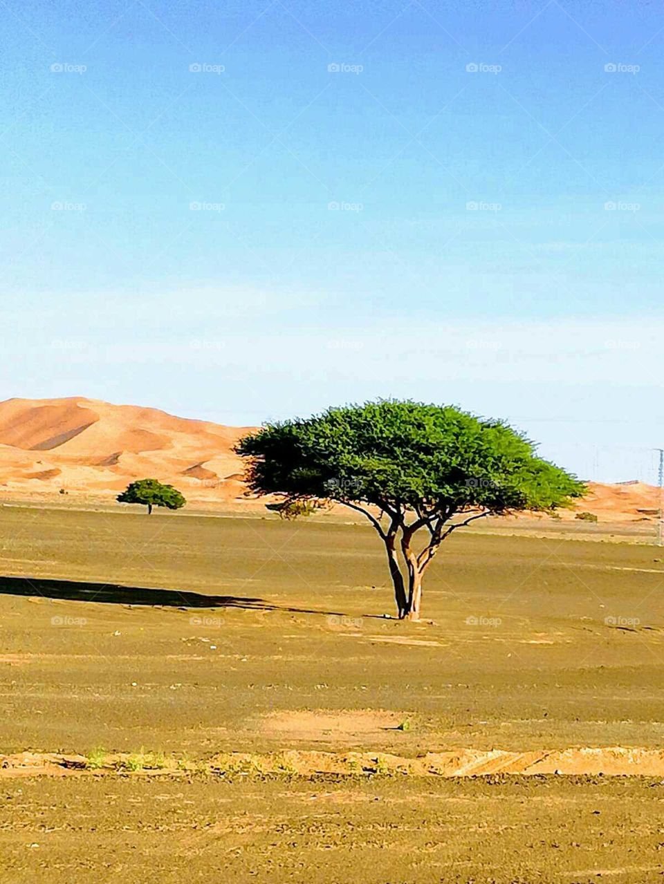 The beautiful Morocco desert