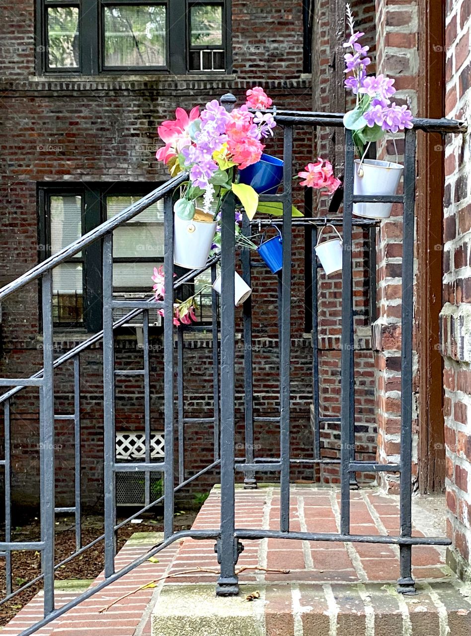 Spring blooms on an NYC railing 