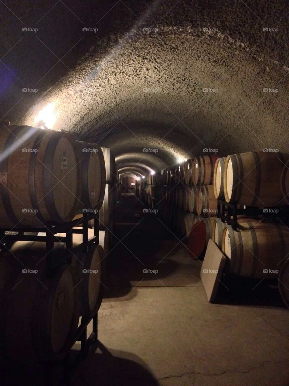 Caves of wine barrels