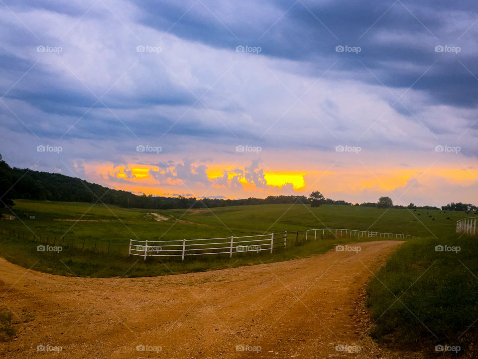 Golden Hour on the Ranch