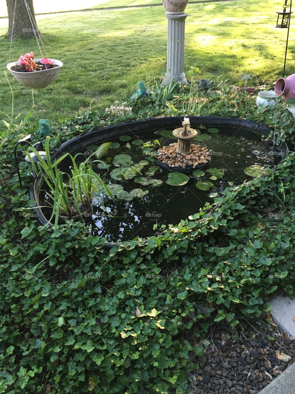 Pond outside family home
