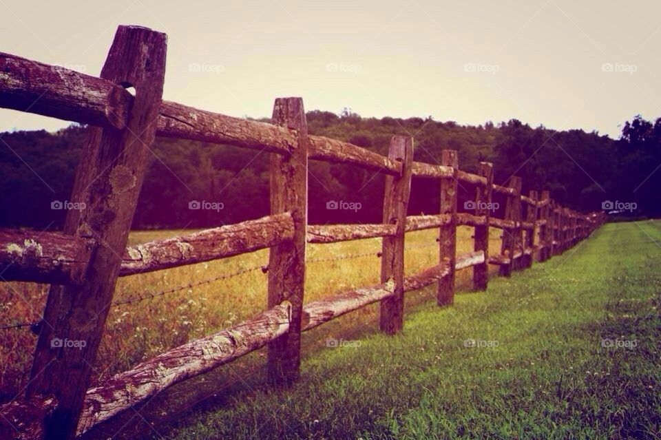 Old barn fence