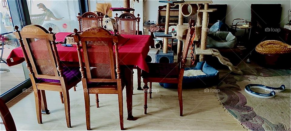 This is another area of the very large L shaped living room in the beautiful house in “Bavaria”, Germany. An antique table and chairs set with high ornamented backs stands here. 2023. Hypnotic Productions