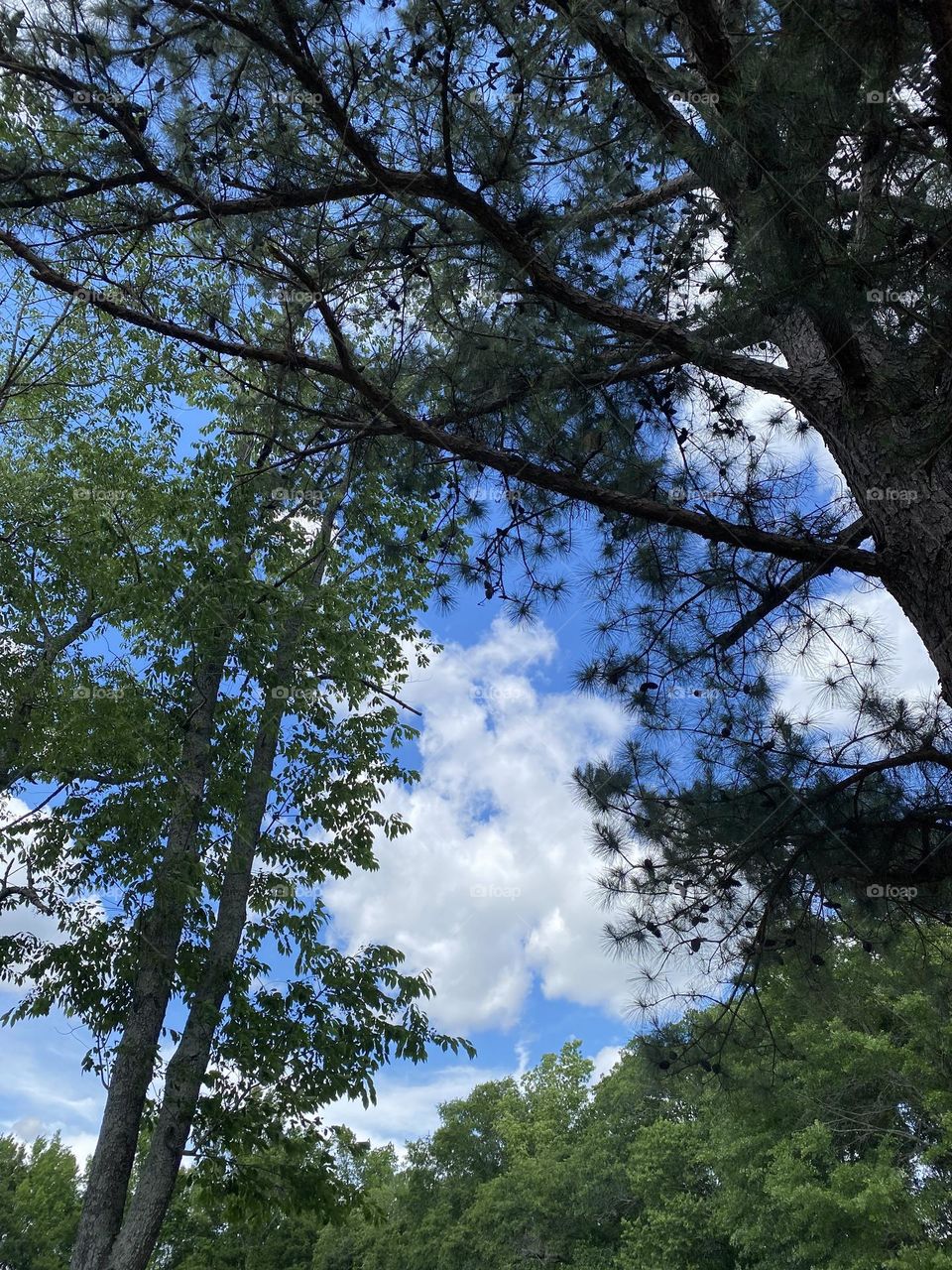 After the storm beauty in the sky 