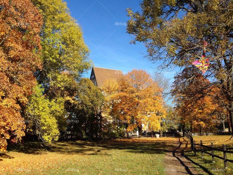 Autumn in Gamla Uppsala